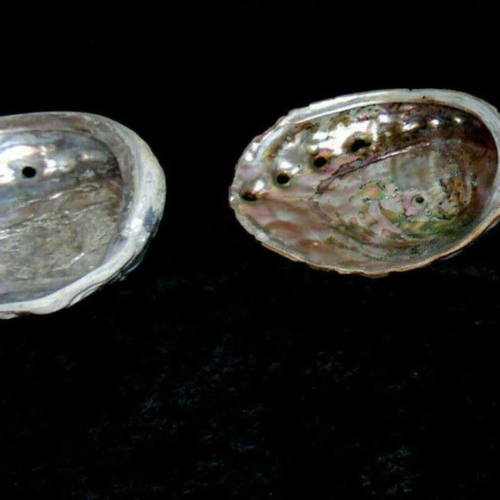 Beautiful Abalone Shell Antique & Vintage lot of 4~Size 8"~8"~6.5"~4 3/4''inches